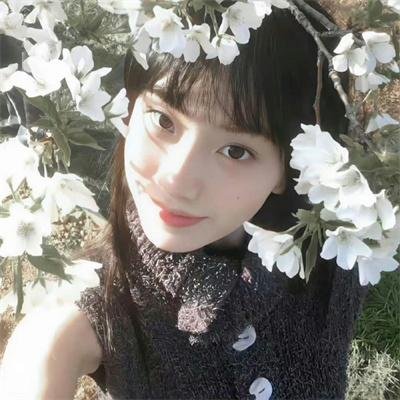 宫廷计中计